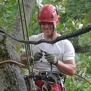 Baumpflege Lorenz in Chemnitz - Spezialisten am und im Baum