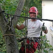 Baumpflege Lorenz in Chemnitz - Spezialisten am und im Baum