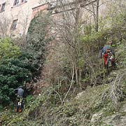 Baumpflege Lorenz in Chemnitz - Spezialisten am und im Baum