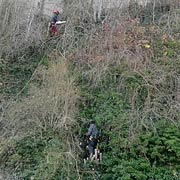 Baumpflege Lorenz in Chemnitz - Spezialisten am und im Baum