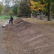 Baumpflege Lorenz in Chemnitz - Spezialisten am und im Baum