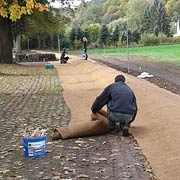 Baumpflege Lorenz in Chemnitz - Spezialisten am und im Baum