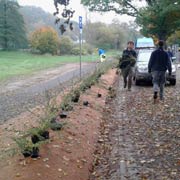 Baumpflege Lorenz in Chemnitz - Spezialisten am und im Baum