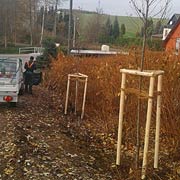 Baumpflege Lorenz in Chemnitz - Spezialisten am und im Baum